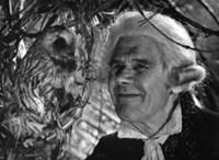 Кадры из фильма 'Аленький цветочек', 1977.