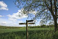 England, West Sussex, Slindon, View of the South D