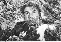 Кадр из фильма: 'Карнавальная ночь', (1956).