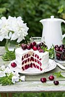 Cherry cake made with shortcrust pastry rolls (sna