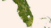 Проект «Herbal Earth»: обработанные снимки со спут