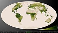 Проект «Herbal Earth»: обработанные снимки со спут