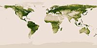 Проект «Herbal Earth»: обработанные снимки со спут
