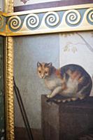 Картина с кошкой. Легендарный эрмитаж уникален не 