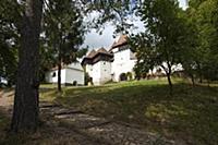 ROMANIA / Transylvania / Viscri / Fortified church