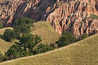 ROMANIA / Transylvania / Sebes / Rapa Rosie Nature