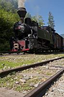 ROMANIA / Maramures / Viseu de Sus / Vaser Valley 