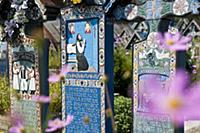 ROMANIA / Maramures / Sapanta / The merry cemetery