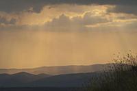 ROMANIA / Transylvania / Sebes / Rapa Rosie Nature