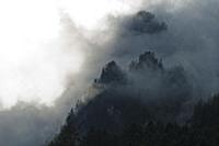 ROMANIA / Wallachia / Bucegi Natural Park / Busten
