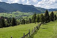 ROMANIA / Bukovina / Rural landscape between Sadov
