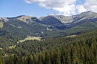 ROMANIA / Wallachia / Bucegi Natural Park / Bucegi