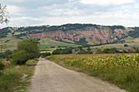 ROMANIA / Transylvania / Sebes / Rapa Rosie Nature