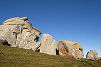 ROMANIA / Wallachia / Bucegi Natural Park / Conglo