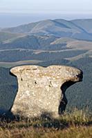 ROMANIA / Wallachia / Bucegi Natural Park / Conglo
