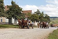 ROMANIA / Transylvania / Viscri / Fortified church