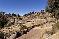 PERU / Puno / Lake Titicaca / Taquile Island / Vie