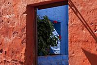 PERU / Arequipa / Santa Catalina Monastery

© Ol