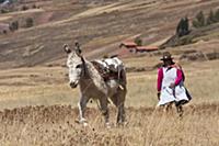 PERU / Cusco / Urubamba Valley / Maras / Quechua w