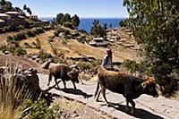 PERU / Puno / Lake Titicaca / Taquile Island / Que