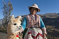 PERU / Arequipa / Colca Canyon / Quechua woman in 