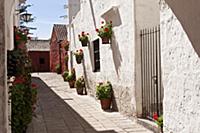 PERU / Arequipa / Santa Catalina Monastery

© Ol