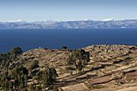 PERU / Puno / Lake Titicaca / Amantani Island / Vi