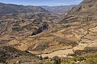 PERU / Arequipa / Colca Canyon 

© Oliver Bolch 