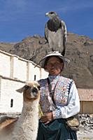 PERU / Arequipa / Colca Canyon / Maca / Quechua wo