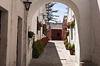PERU / Arequipa / Santa Catalina Monastery

© Ol