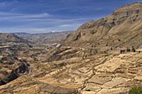 PERU / Arequipa / Colca Canyon 

© Oliver Bolch 