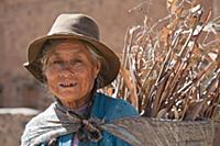 PERU / Cusco / Raqchi / Old woman carrying basket 