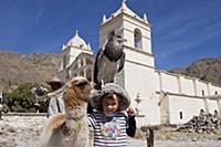 PERU / Arequipa / Colca Canyon / Maca / Tourist ch