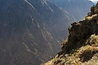 PERU / Arequipa / Colca Canyon / Cruz del Condor /