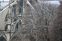 Собор Парижской Богоматери. Париж, Франция. 17 дек