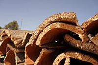 Кора, из которой делают пробки для бутылок. Португ