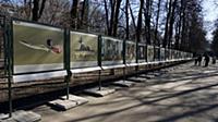 Краснопресненский район. Москва, Россия. 17 марта 