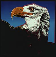 American Eagle, from 'Endangered Species', 1983 (c