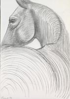 Horse Study, 1984 (pencil on paper) , artist: Frin