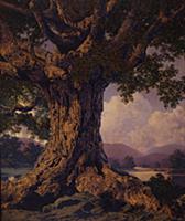 Ancient Tree, 1941 (oil on board) , artist: Parris