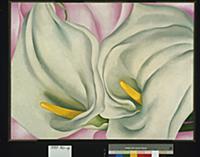 Two Calla Lilies on Pink, 1928 (oil on canvas) , a