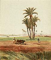 In the field , artist: Harper, Henry Andrew (1835-