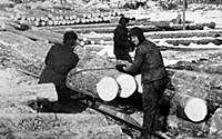 Gulag: USSR: Prisoners Working in Camp 013, Ozerla