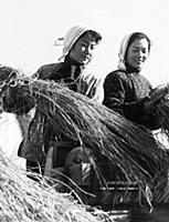 3058124 Two actresses working on the Machiao Peopl