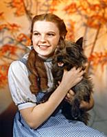 4062048 Judy Garland, The Wizard Of Oz 1939 Direct