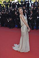 Эрин Хизертон (Erin Heatherton) на премьере фильма