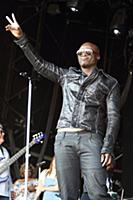 GREAT TEW, OXFORD, ENGLAND - Seal at the Cornbury 