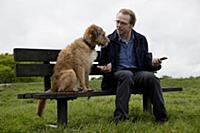 Absolutely Anything (2015) 
Simon Pegg
*Filmstill 