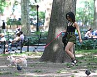 Vanessa Hudgens out and about in New York City.
26