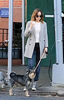 Actress Dakota Johnson walks her dog Zeppelin in t